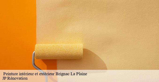  Peinture intérieur et extérieur  brignac-la-plaine-19310 JP Rénovation