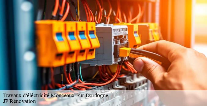 Travaux d'éléctricité  monceaux-sur-dordogne-19400 JP Rénovation